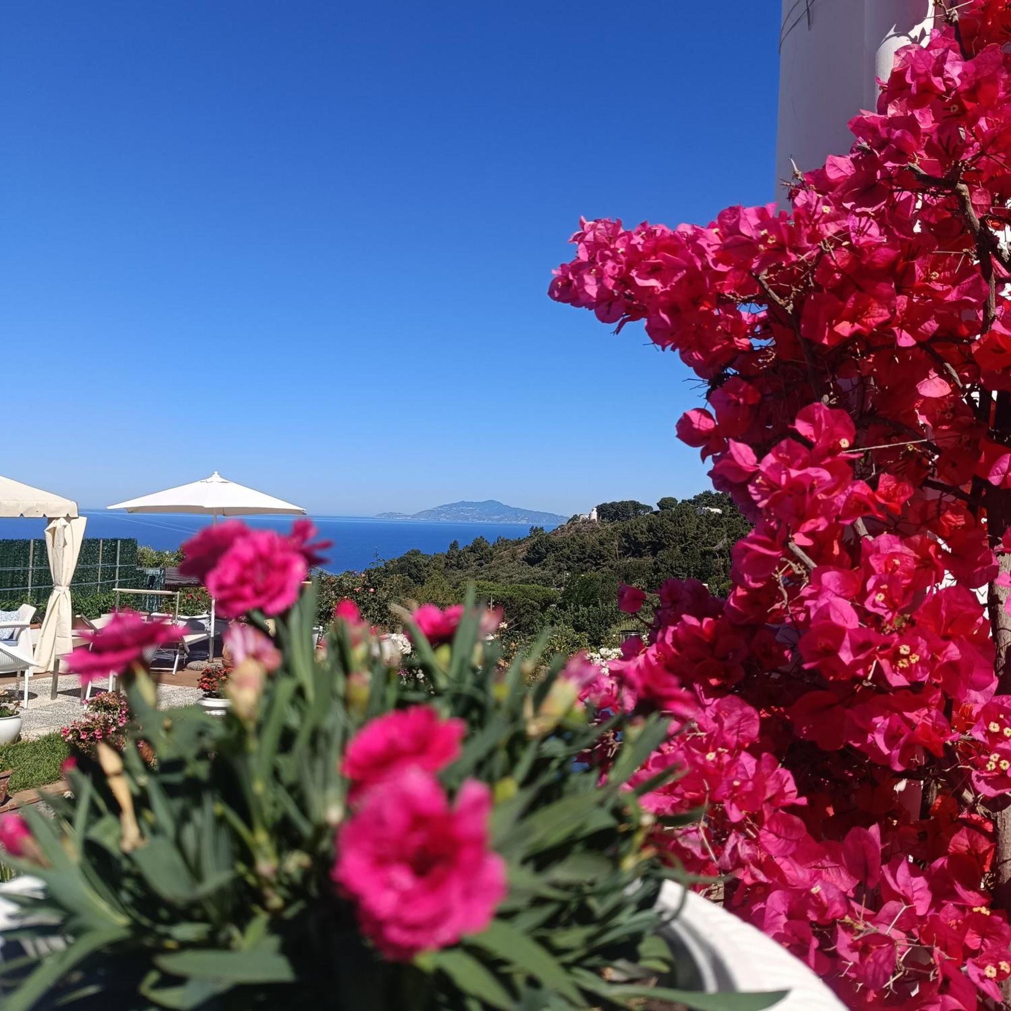 La Campagnola Apartment Anacapri  Luaran gambar