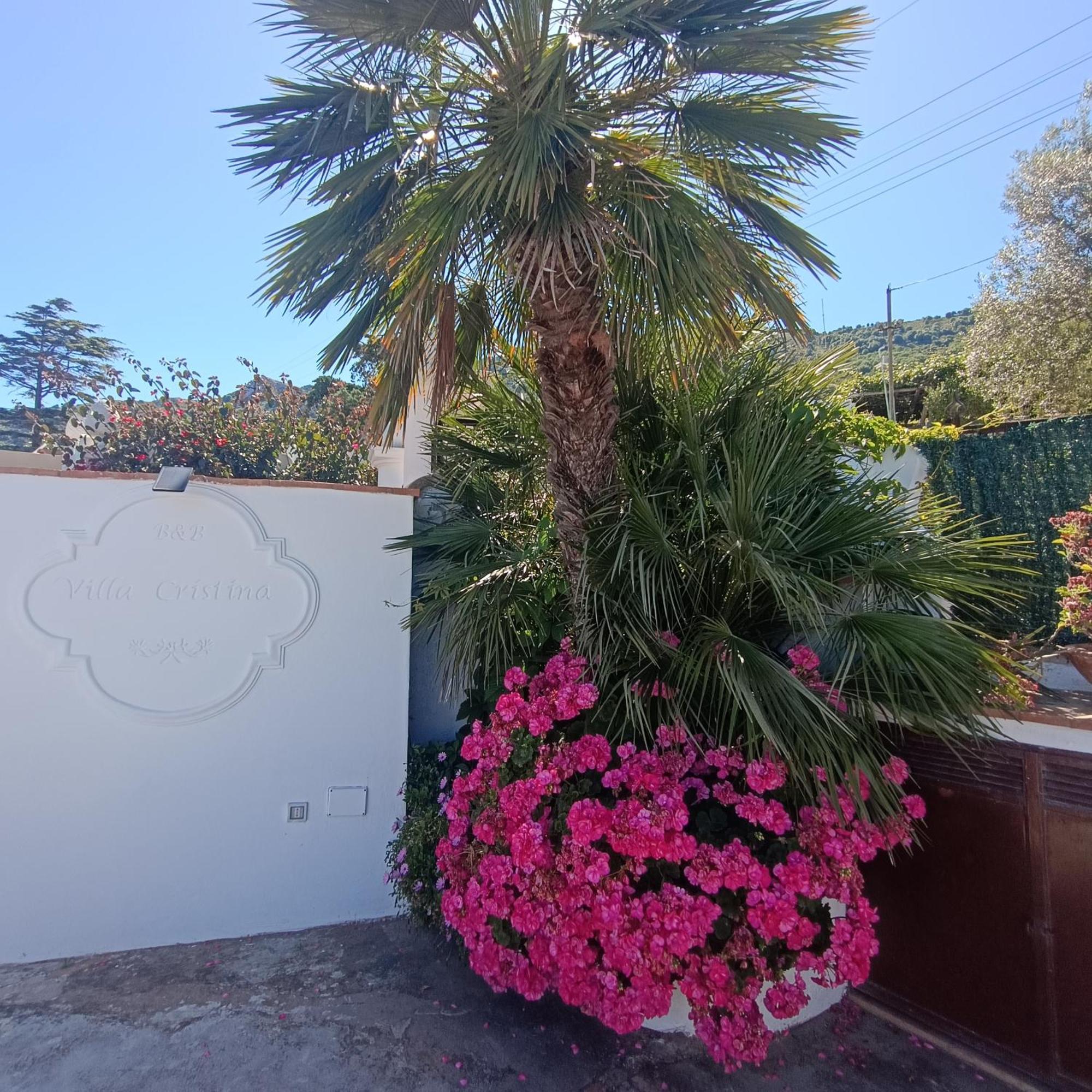 La Campagnola Apartment Anacapri  Luaran gambar